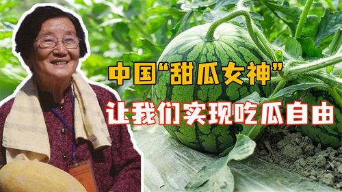 我国为何吃瓜自由,揭秘中国“吃瓜自由”现象背后的社会文化根源