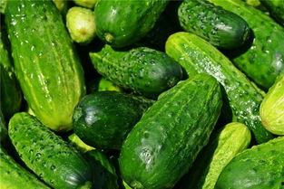 梦到偷瓜吃,偷瓜吃背后的神秘寓意