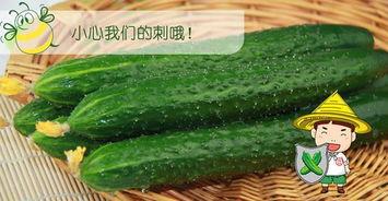 吃瓜夏季就是吃各种瓜,尽享清凉美味时光