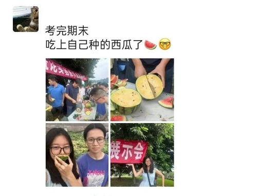 吃瓜同学拍照,捕捉生活点滴