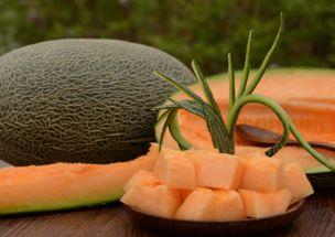 减肥合适吃哈密瓜