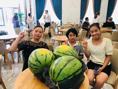 汶海中学 吃瓜,吃瓜群众眼中的校园风云