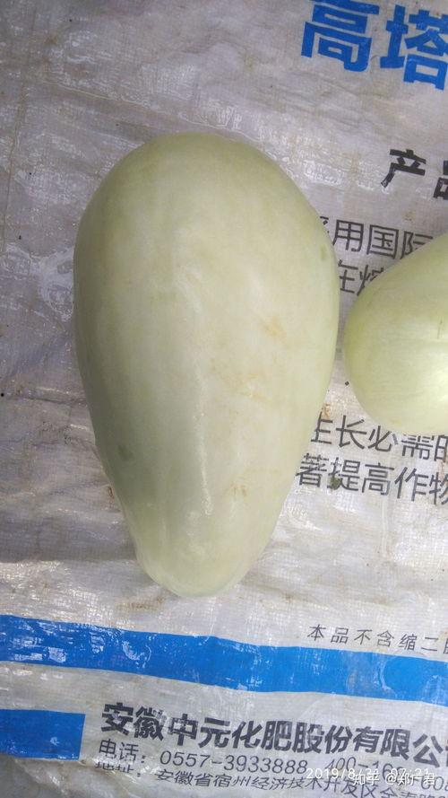 騷瓜怎麽吃,解锁美味新姿势