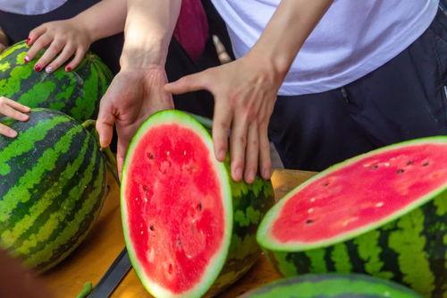 大学吃瓜图,揭秘大学吃瓜图背后的故事