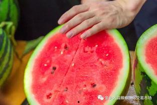 大学吃瓜图,揭秘大学吃瓜图背后的故事