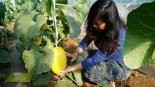 远方吃瓜人,揭秘网络时代的“吃瓜群众”现象