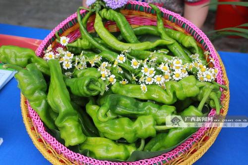 广西建设吃瓜,吃瓜文化新风尚，品味生活新体验”