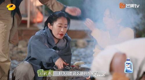 杨幂吃哈密瓜,哈密瓜美食之旅