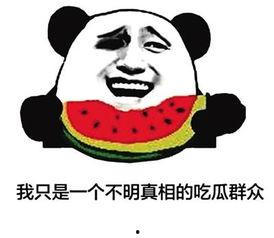 网络吃瓜的群众,揭秘娱乐圈幕后真相