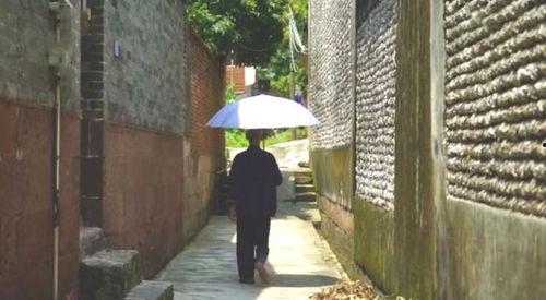 青岛即墨吃瓜群众事件,网络舆论的风暴与反思