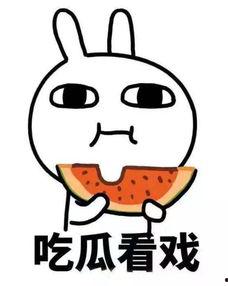 瓜瓜吃瓜感悟,感悟人生百态