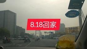 牛丁吉他吃瓜,跨界吃瓜，音乐与娱乐的奇妙碰撞