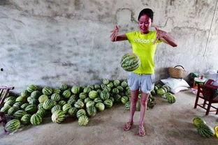 吃瓜踢女生,揭秘网络暴力背后的真相