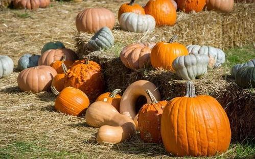 追月吃瓜后续,揭秘娱乐圈背后的秘密与真相