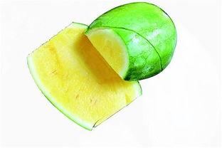 吃瓜速度和瓜的速度,一场速度与激情的较量