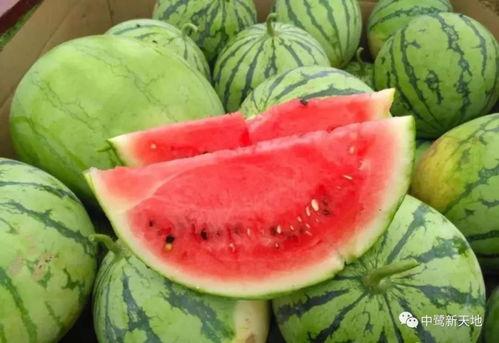 今天继续吃瓜,今日瓜界新鲜事盘点