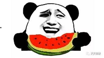 今天继续吃瓜,今日瓜界新鲜事盘点