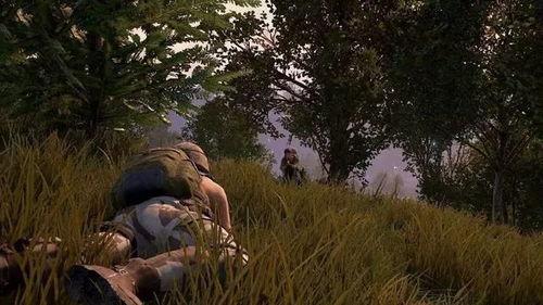 吃鸡大神瓜,揭秘游戏背后的传奇人生