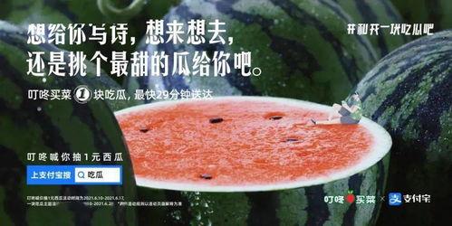 过年吃瓜文案怎么写,揭秘过年吃瓜的趣味时光