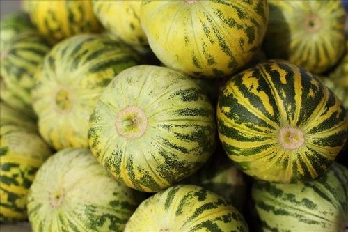 吃田瓜通便吗,揭秘吃田瓜的通便效果