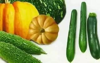 夏花吃瓜后续,揭秘娱乐圈背后的秘密与真相