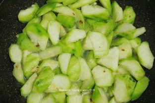 多肉吃瓜leishe,Leishe的多彩生活分享