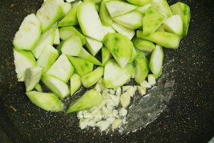 多肉吃瓜leishe,Leishe的多彩生活分享