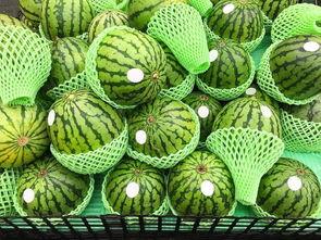 山东游客吃瓜,畅享瓜果清凉之旅