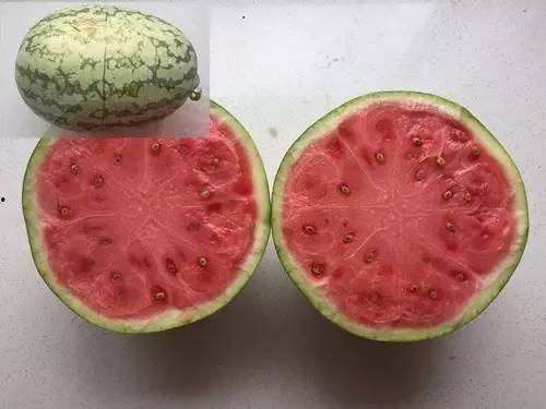 暑期吃三瓜,西瓜、黄瓜、冬瓜，清凉一夏尽享美味