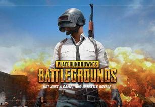 吃瓜危机云王,揭秘云王背后的真相与挑战