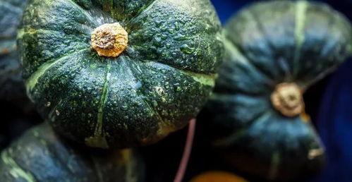 吃贝贝瓜会胖不,美味与健康的完美平衡，吃贝贝瓜真的会胖吗？”